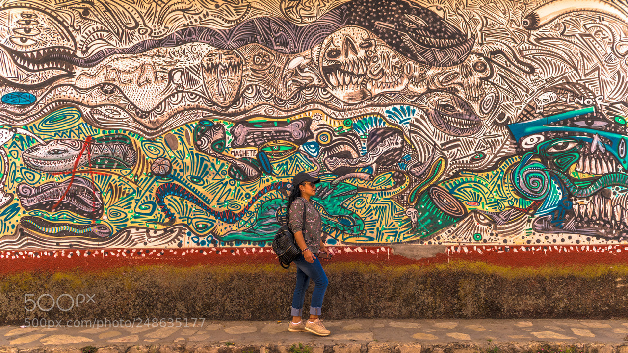 Sony a7R II sample photo. Urban art & beauty photography