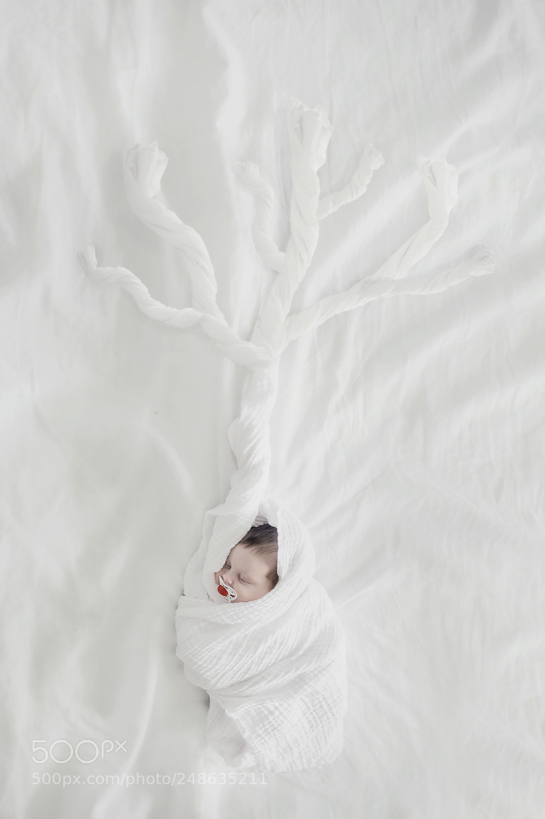 Nikon D5100 sample photo. Family tree photography