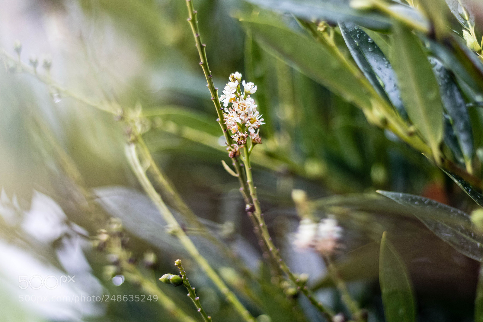 Canon EOS 80D sample photo. Untitled photography