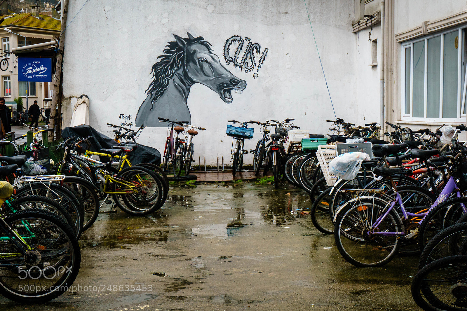 Sony a6000 sample photo. Dsc3063 photography