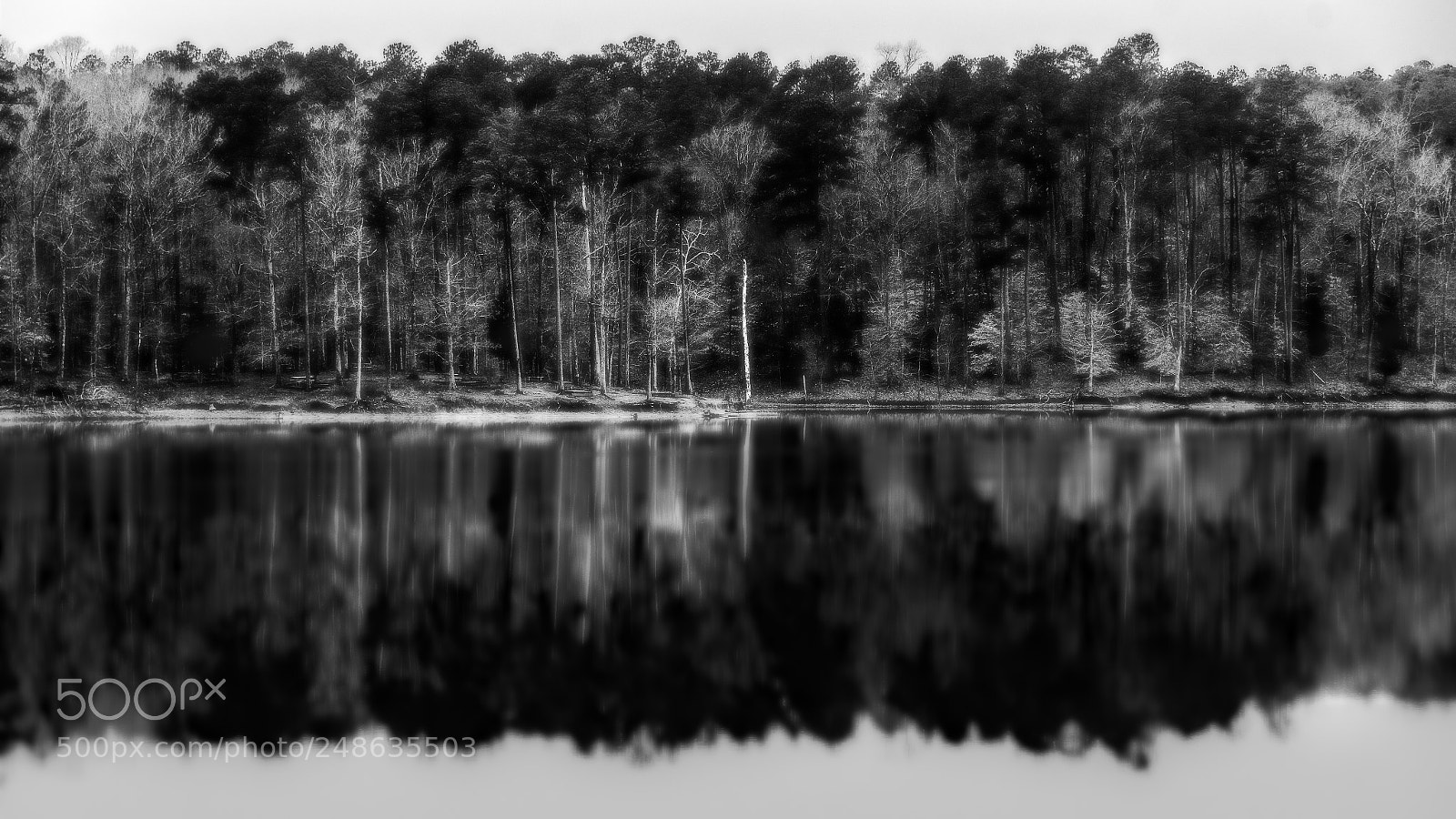 Nikon D500 sample photo. "winter @ falls lake" photography