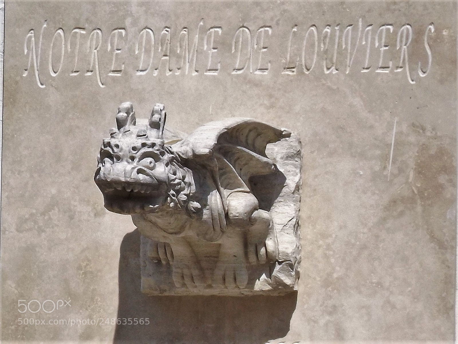 Fujifilm FinePix S4800 sample photo. Gargola in san miguel photography