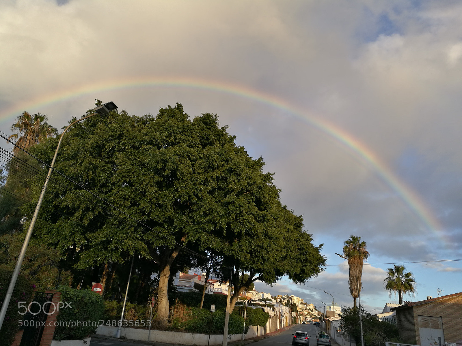 HUAWEI P9 sample photo. Untitled photography