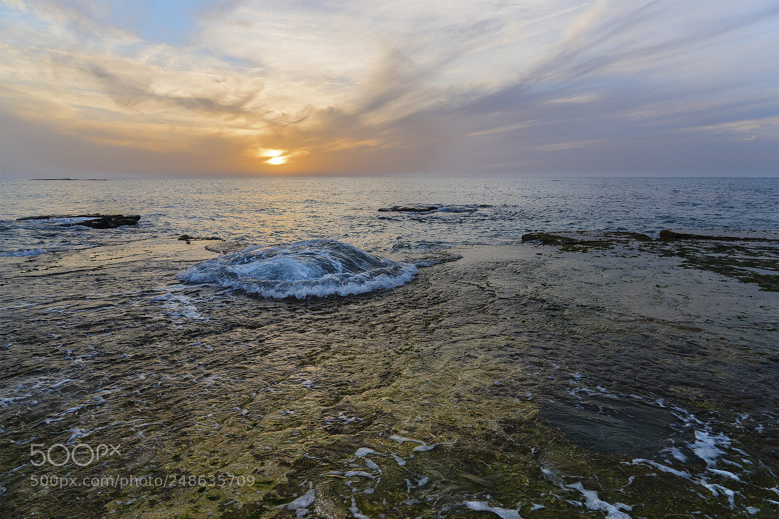 Sony ILCA-77M2 sample photo. Untitled photography