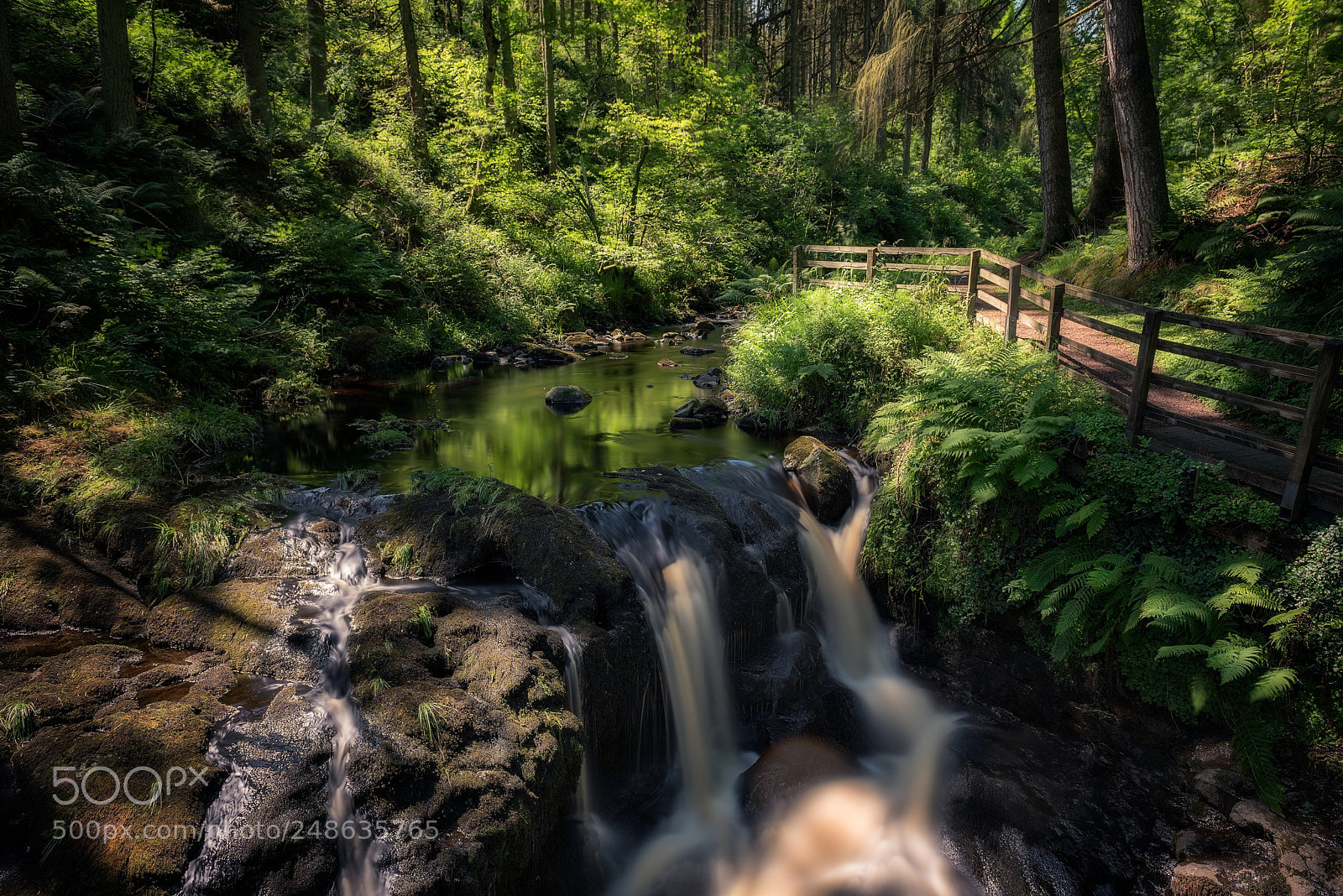 Nikon D810 sample photo. Glenariff forest photography