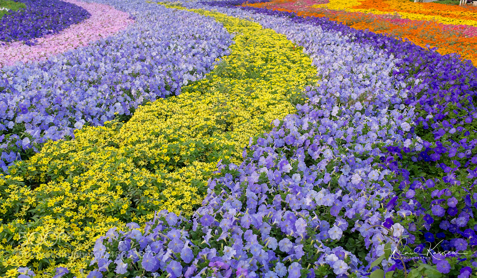 Fujifilm X100S sample photo. Miracle garden photography