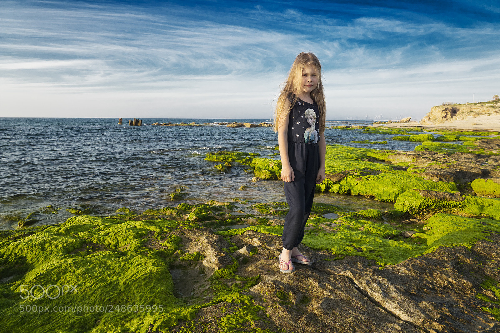 Sony ILCA-77M2 sample photo. Untitled photography