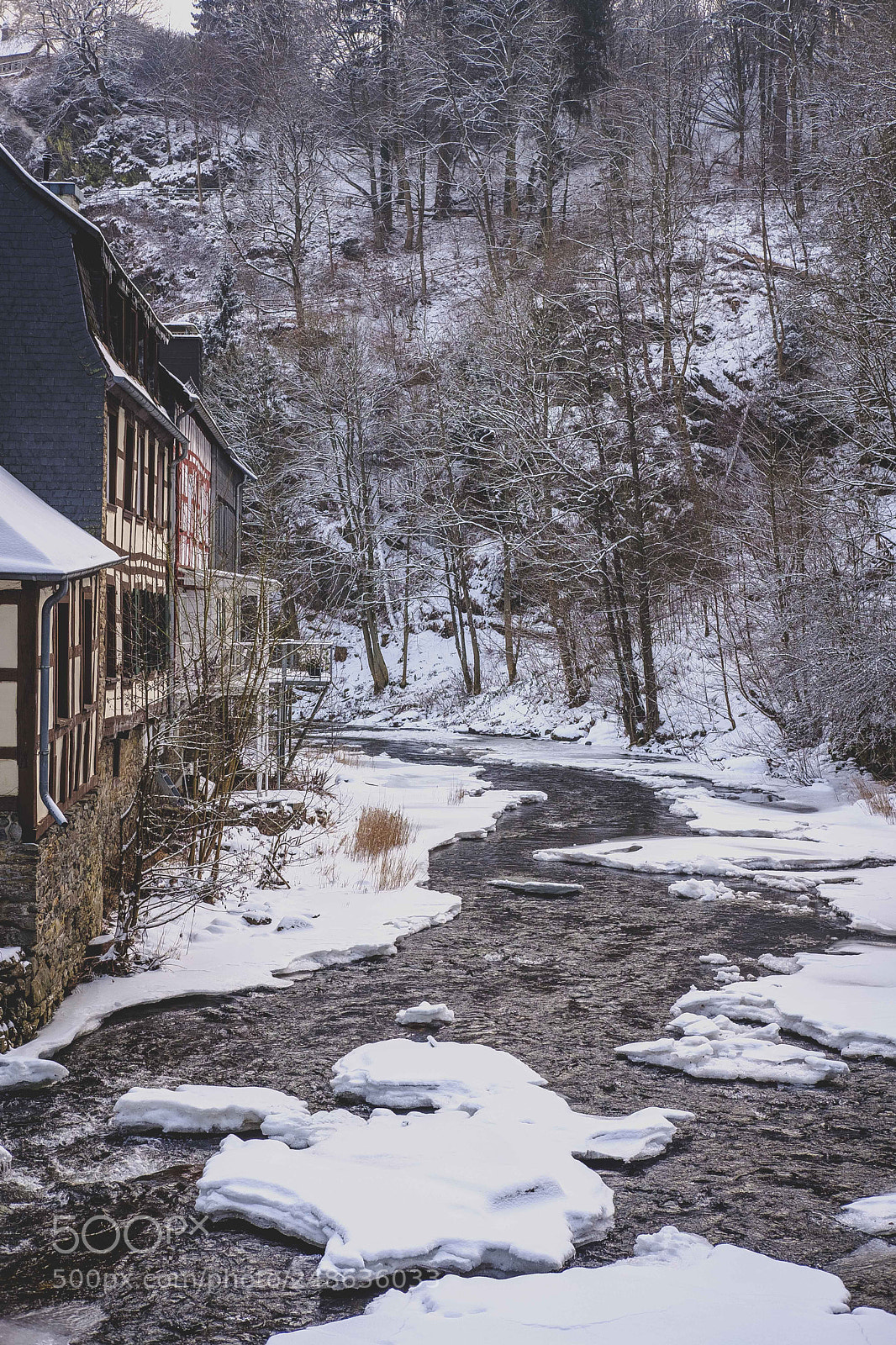 Fujifilm X-T20 sample photo. Eischscholle auf der rur photography