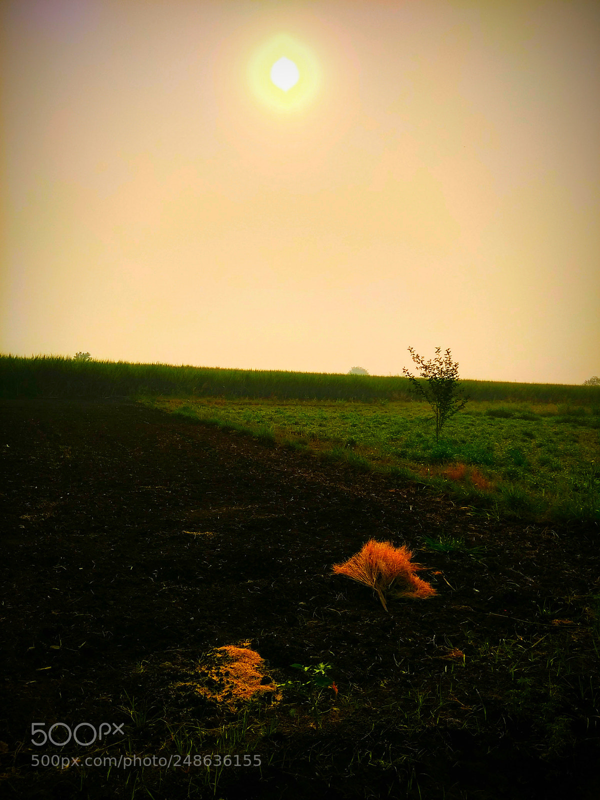 Xiaomi Redmi Note 4 sample photo. Untitled photography