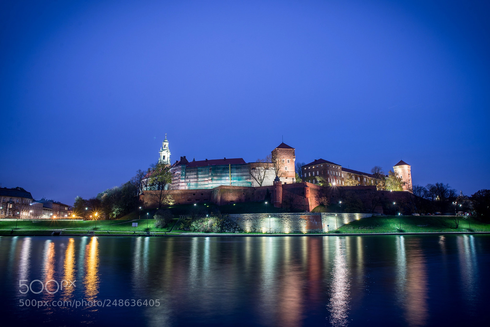 Nikon D610 sample photo. Wawel photography