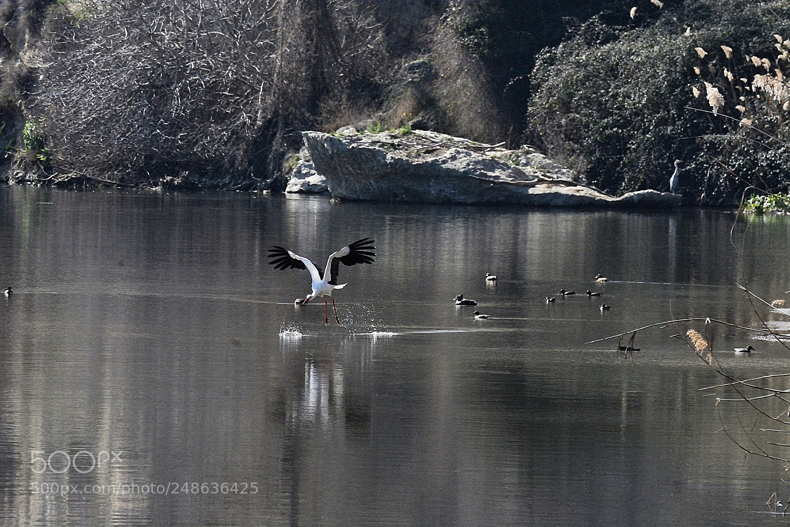 Nikon D7100 sample photo. Parque regional del sudeste photography