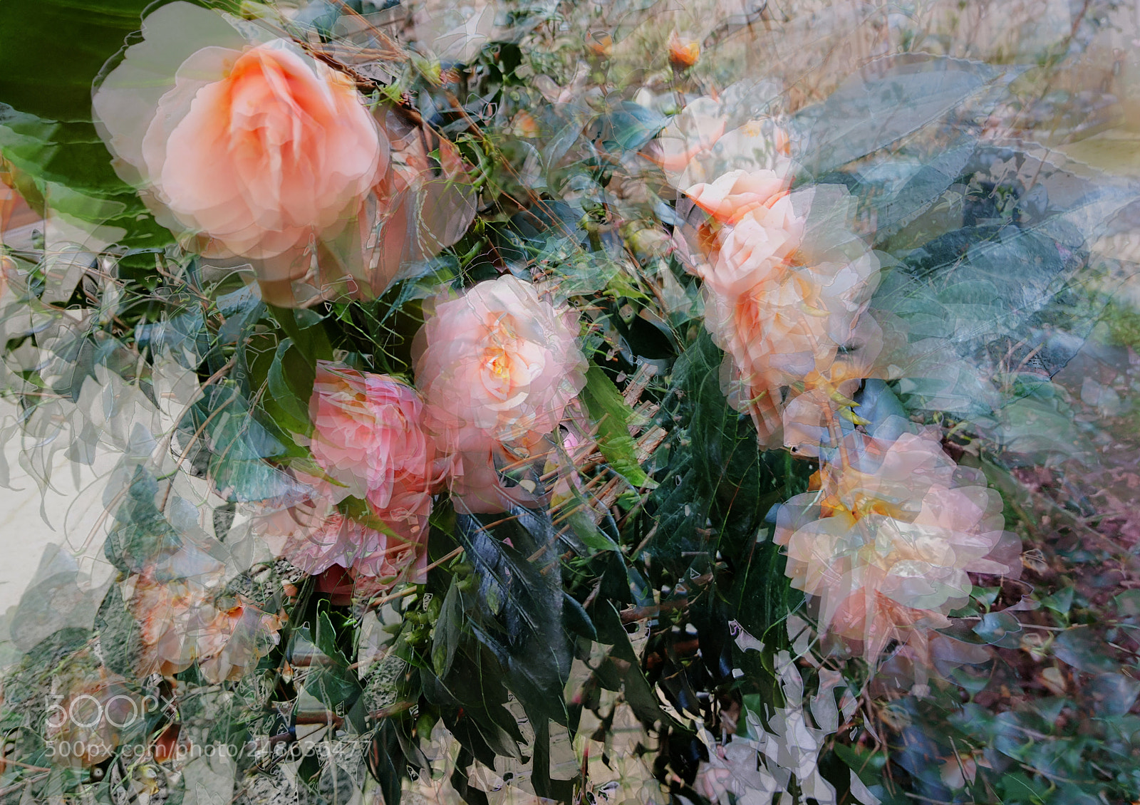 Samsung Galaxy S8+ sample photo. Dreams.... photography