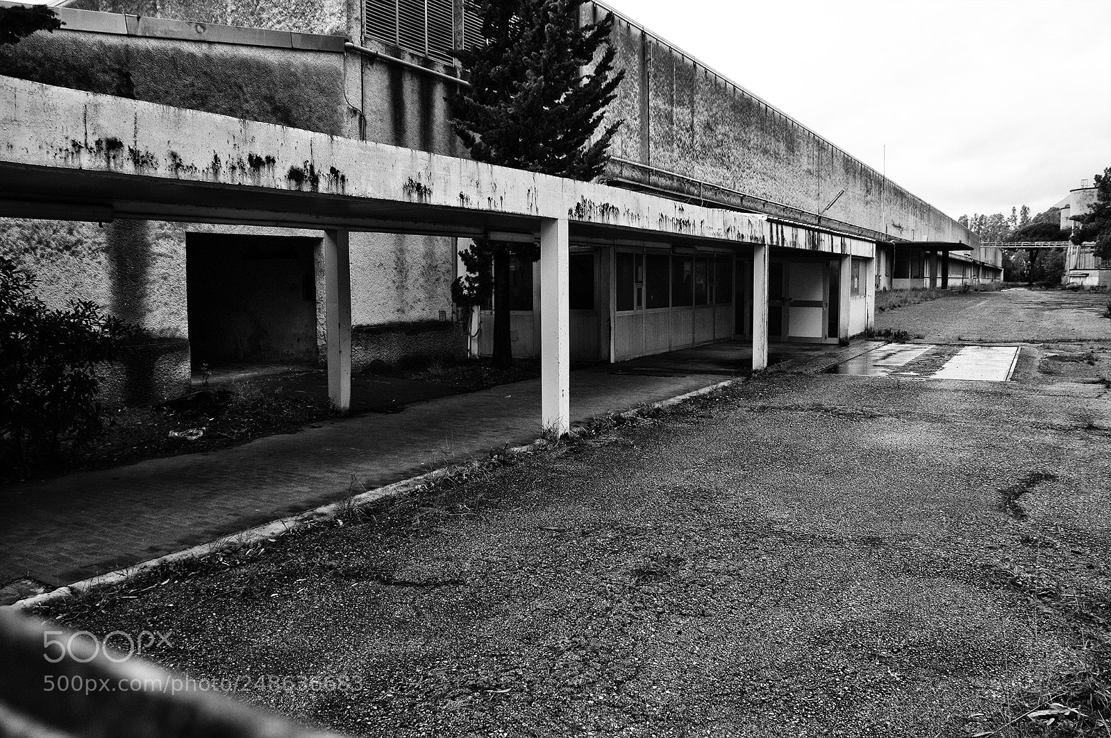 Nikon D3200 sample photo. La fabbrica dei veleni photography