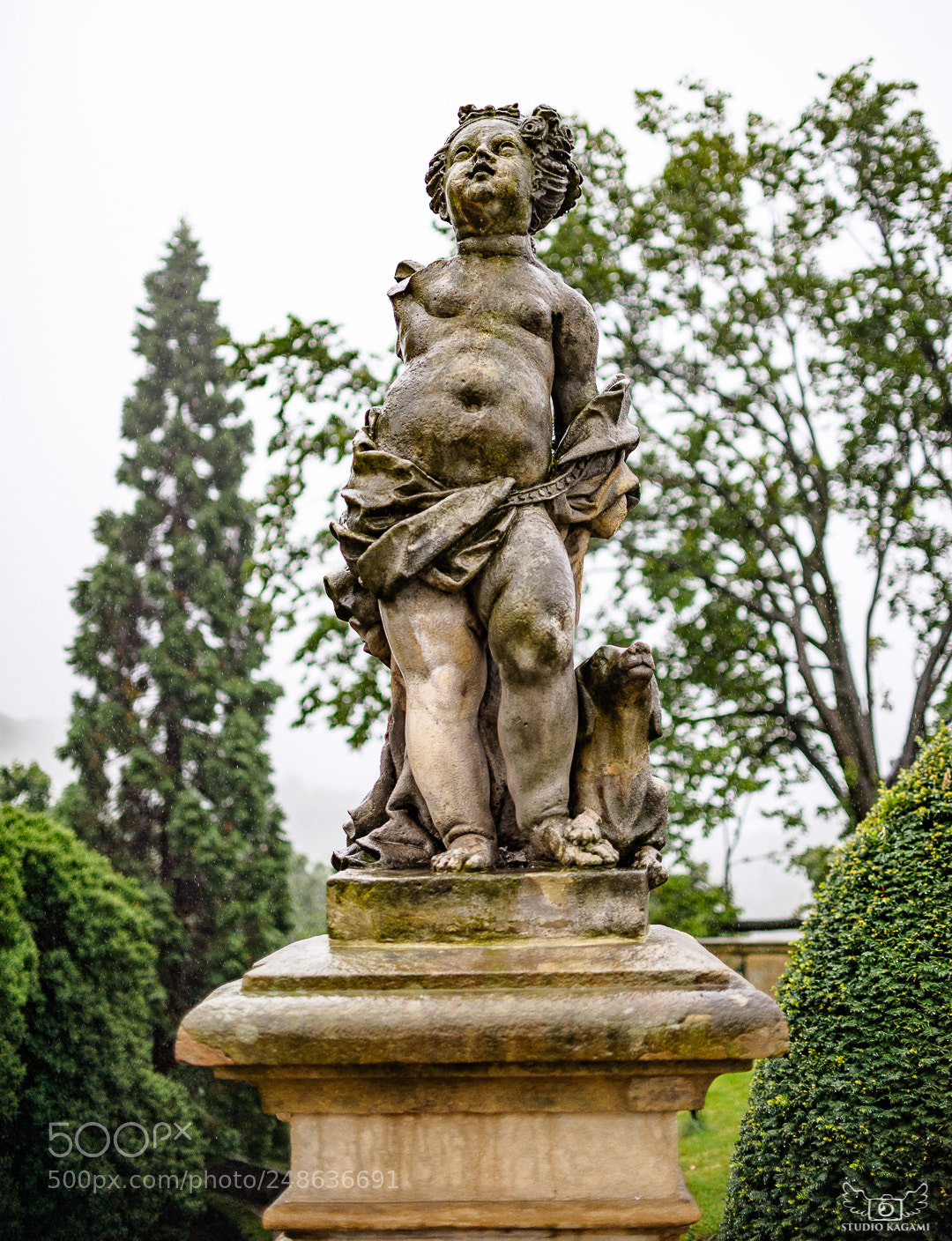 Nikon D700 sample photo. Książ photography