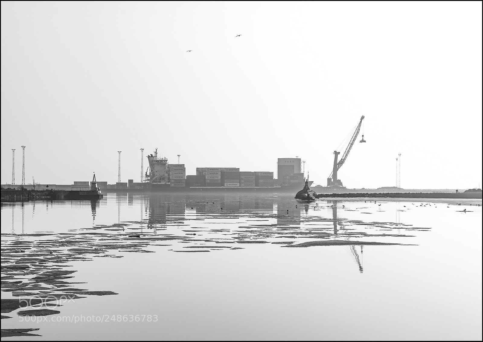 Nikon D810 sample photo. Floating... photography