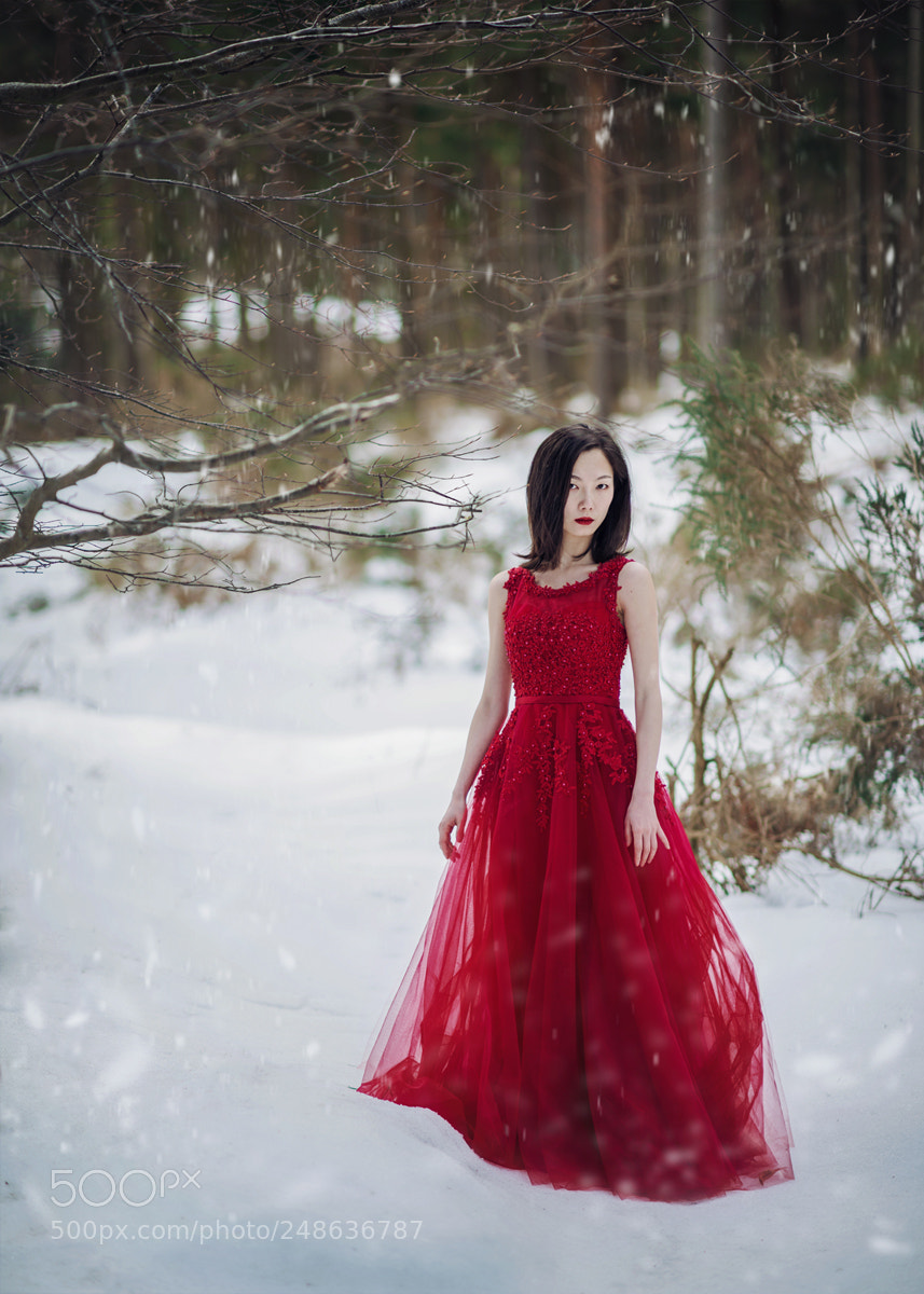 Nikon D800 sample photo. Ran photography