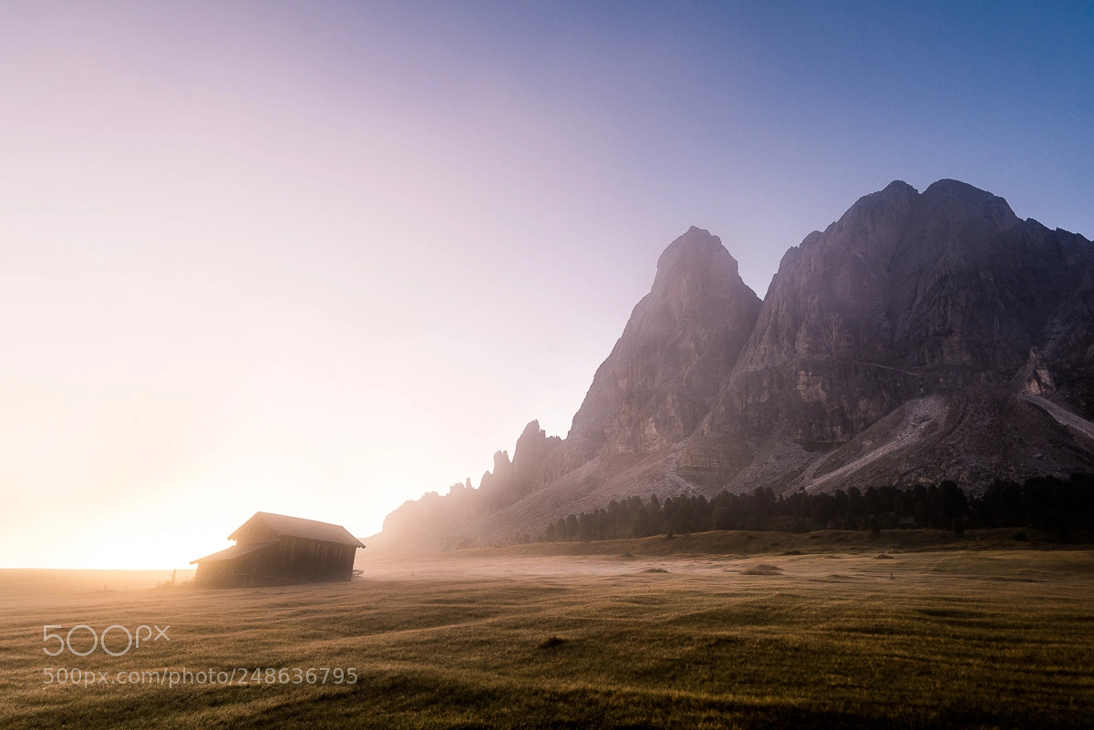 Nikon D810 sample photo. Through the mist photography