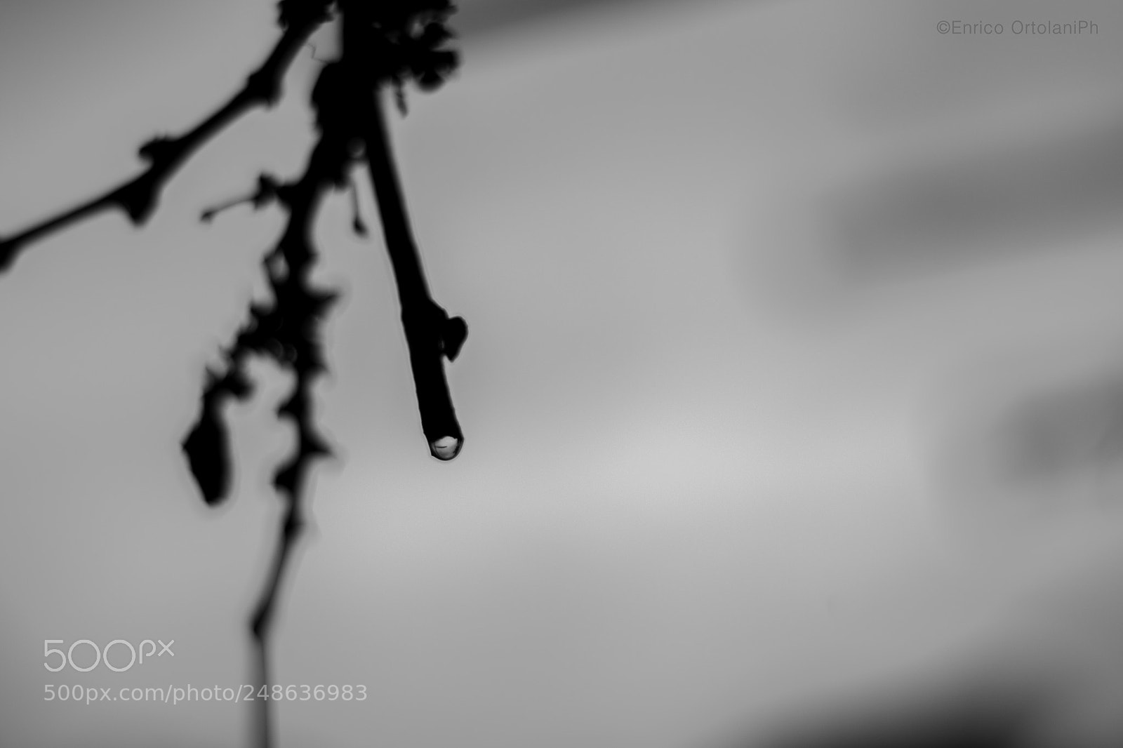 Nikon D3100 sample photo. Controluce. photography