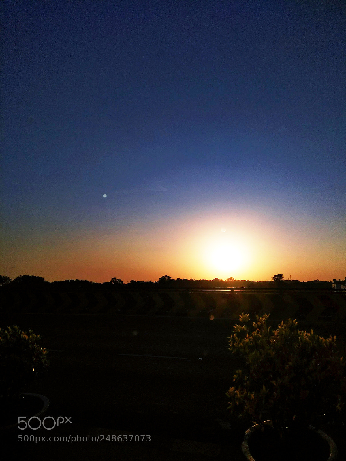 Xiaomi Redmi Note 4 sample photo. Untitled photography