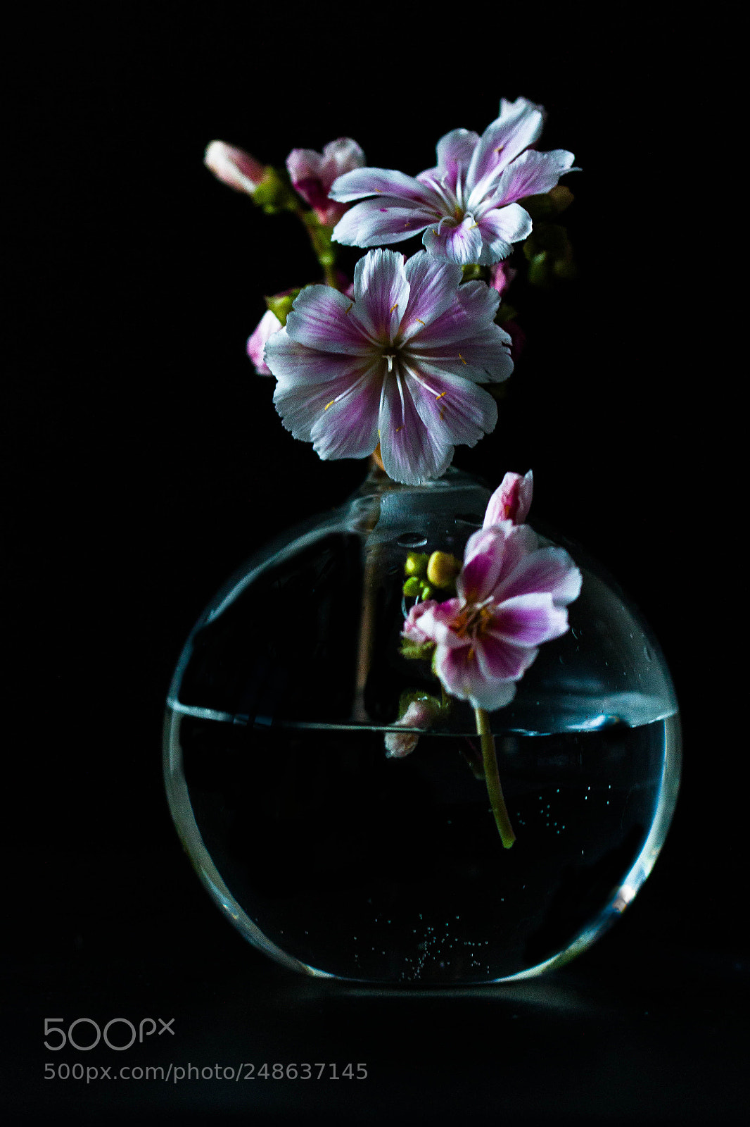 Canon EOS 7D sample photo. Mini bouquet photography