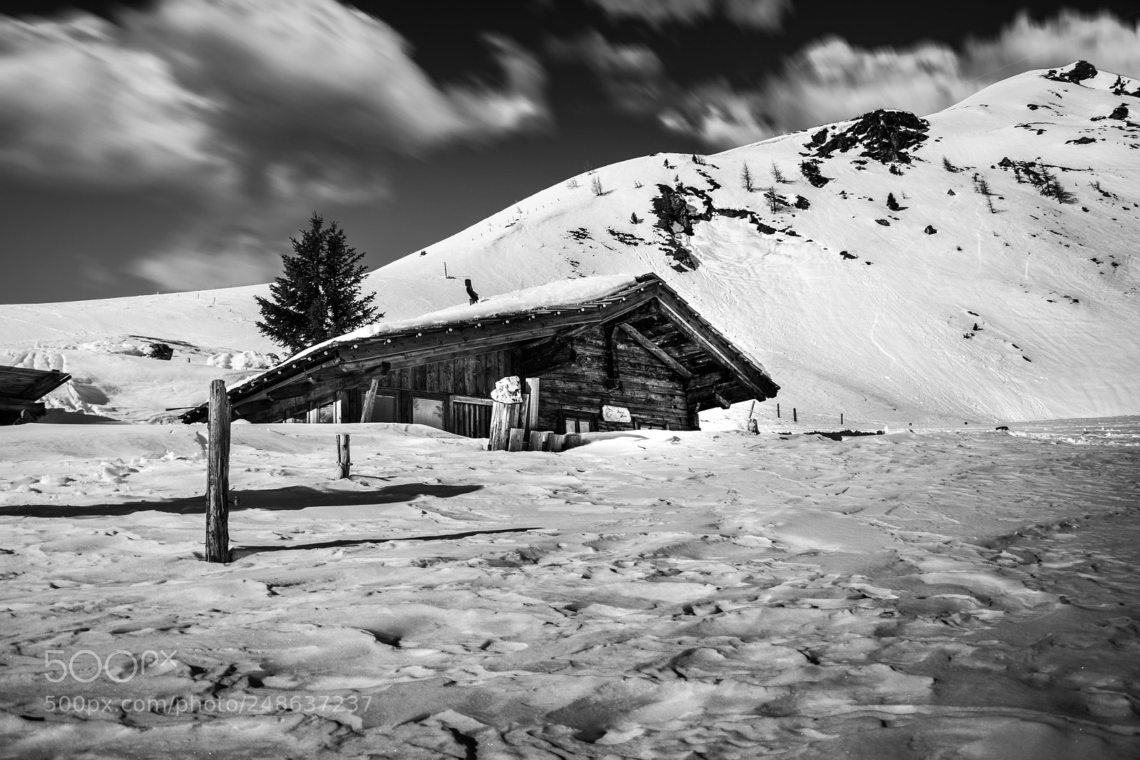 Nikon D5300 sample photo. Winter day photography