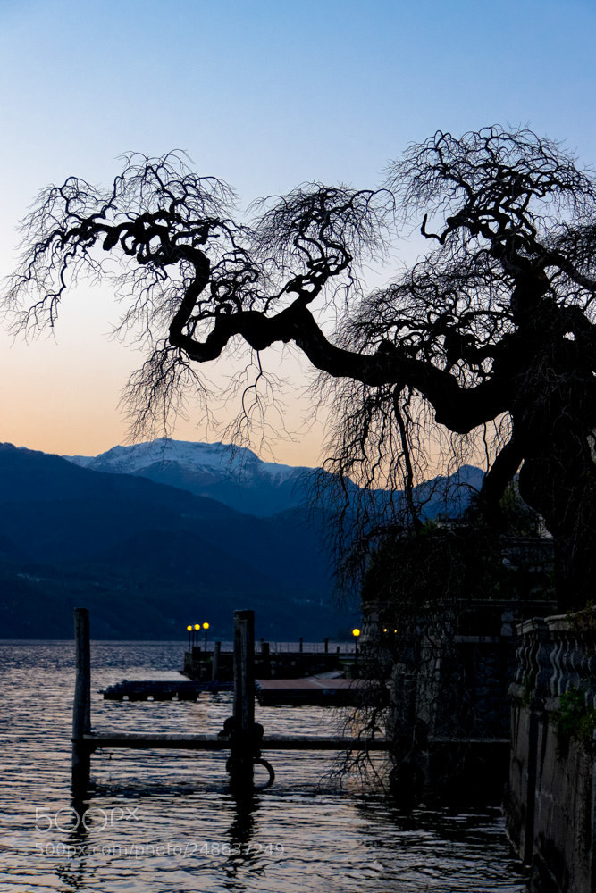 Canon EOS 600D (Rebel EOS T3i / EOS Kiss X5) sample photo. Cr puscule sur le photography
