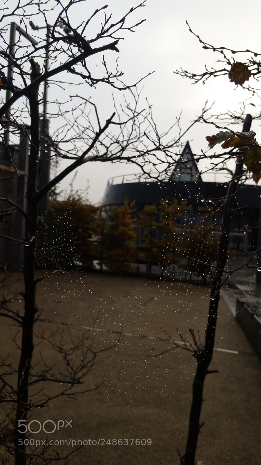 Samsung Galaxy Note4 sample photo. Nature's jewel photography