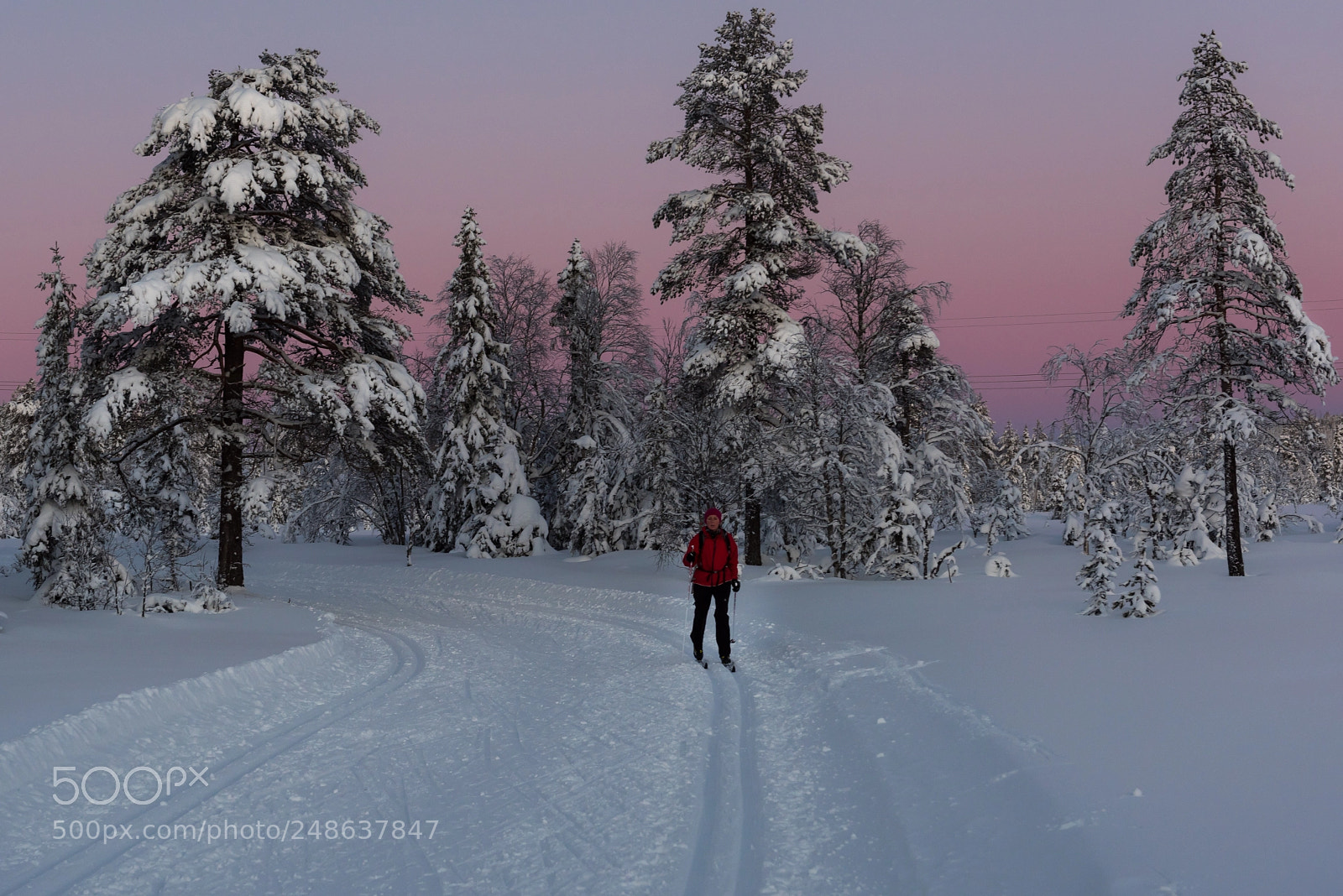 Nikon D810 sample photo. Winter mood iv photography