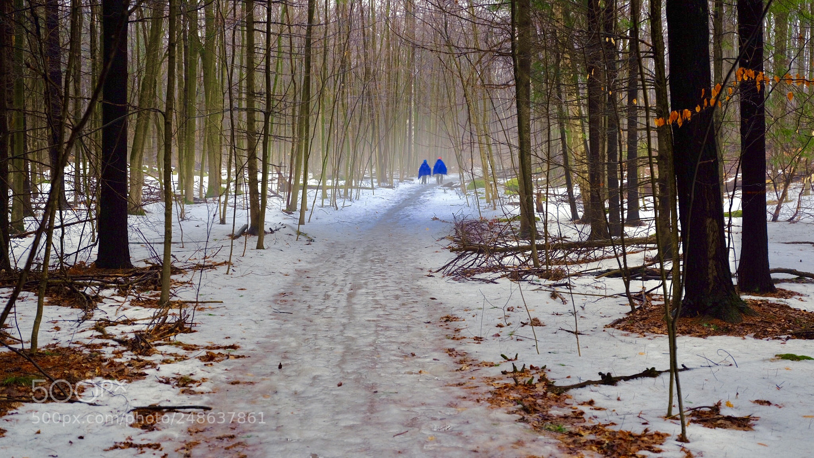 Fujifilm GFX 50S sample photo. Late winter’s hiking photography
