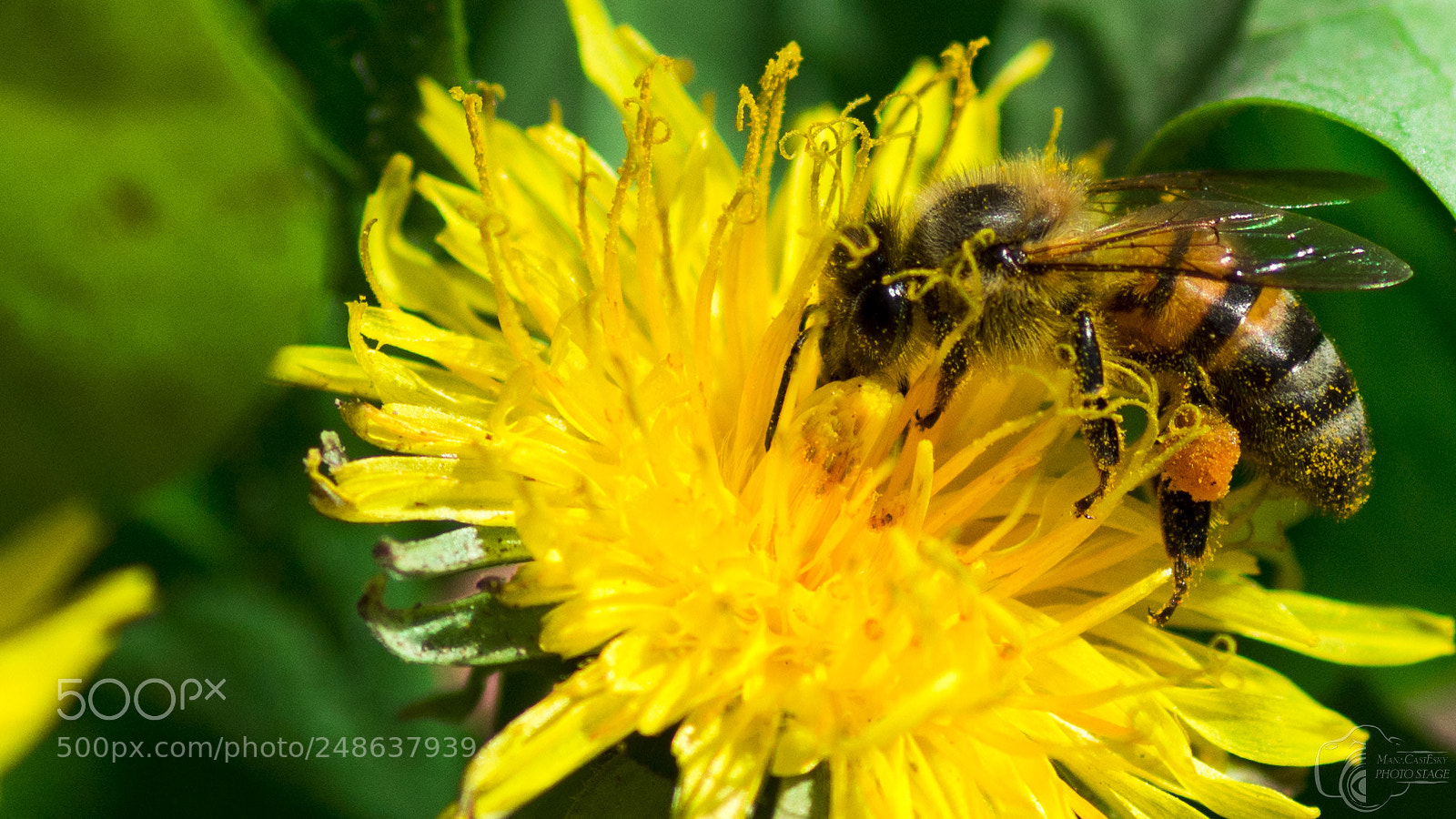 Nikon D7100 sample photo. Working day, everyday. photography