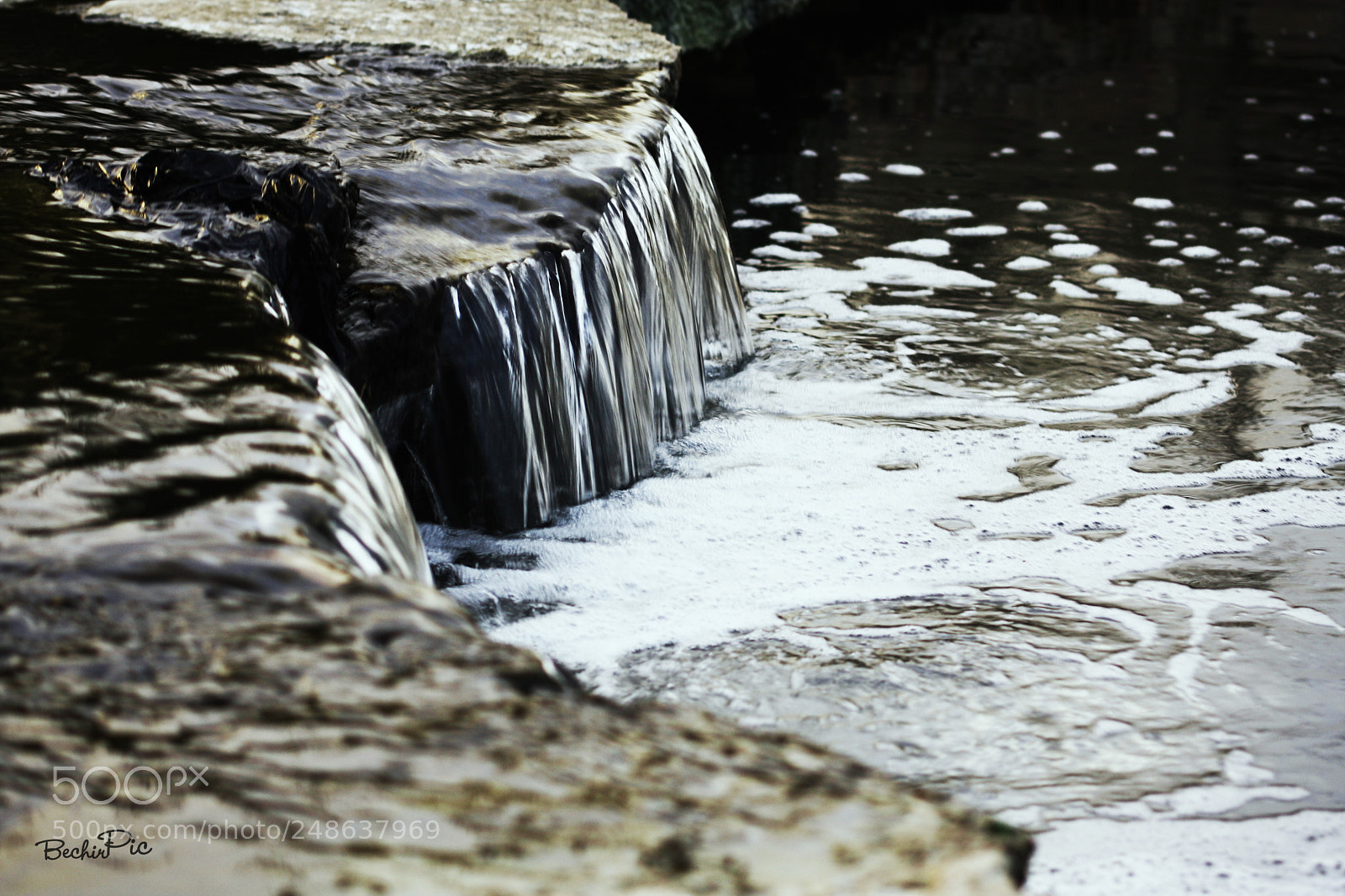 Canon EOS 40D sample photo. Untitled photography