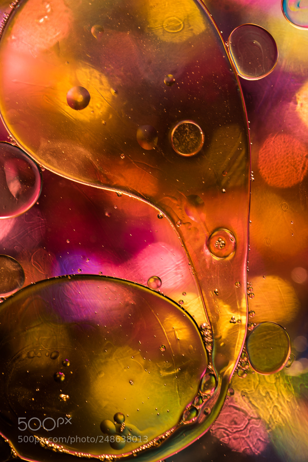Nikon D810 sample photo. Oil photography