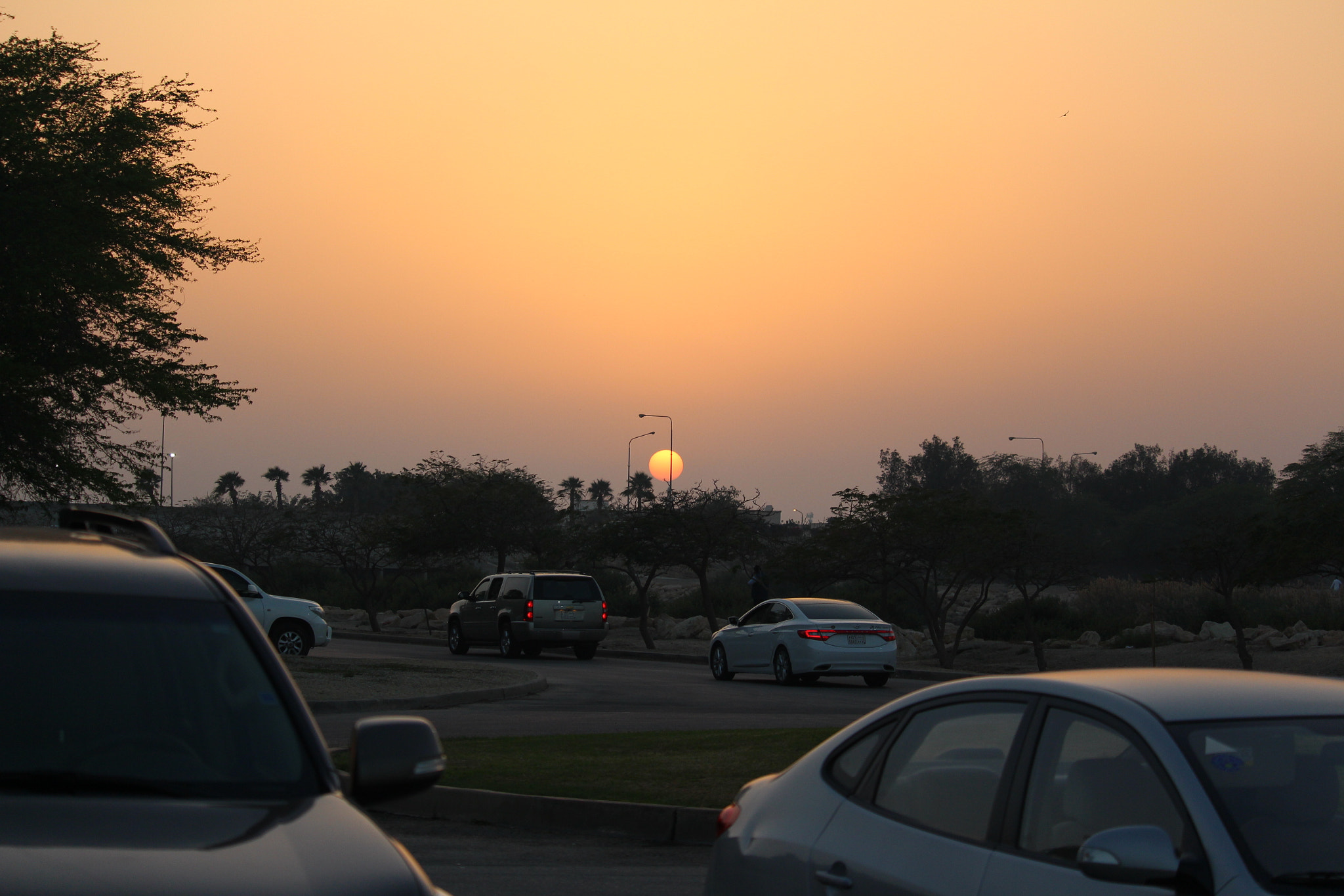 Canon EF-S 55-250mm F4-5.6 IS STM sample photo. Orange sky photography