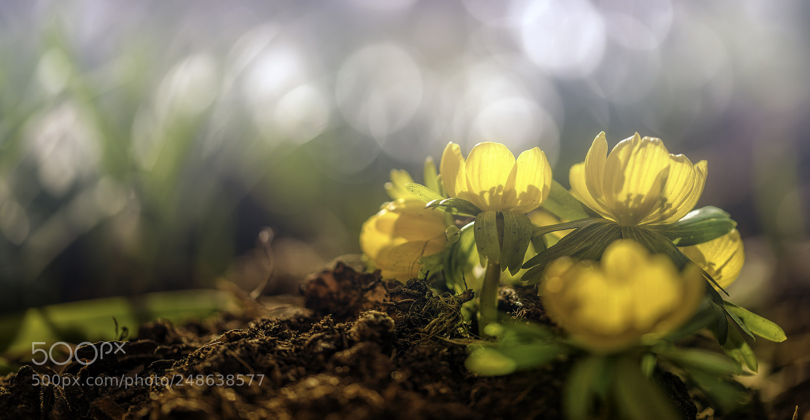 Nikon D810 sample photo. Yyyyy e sssss !!!!! photography