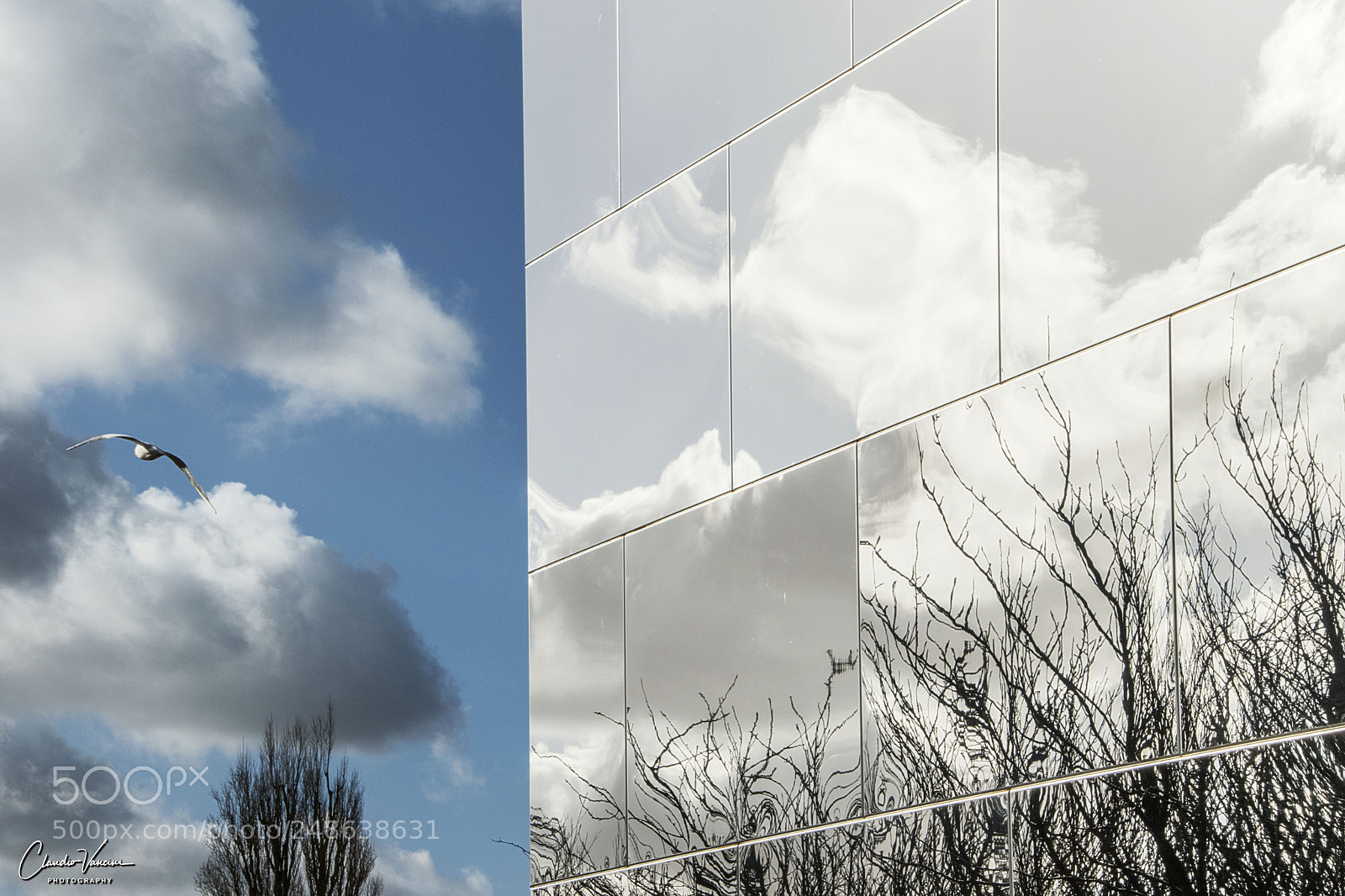 Nikon D5600 sample photo. Cloudscape photography