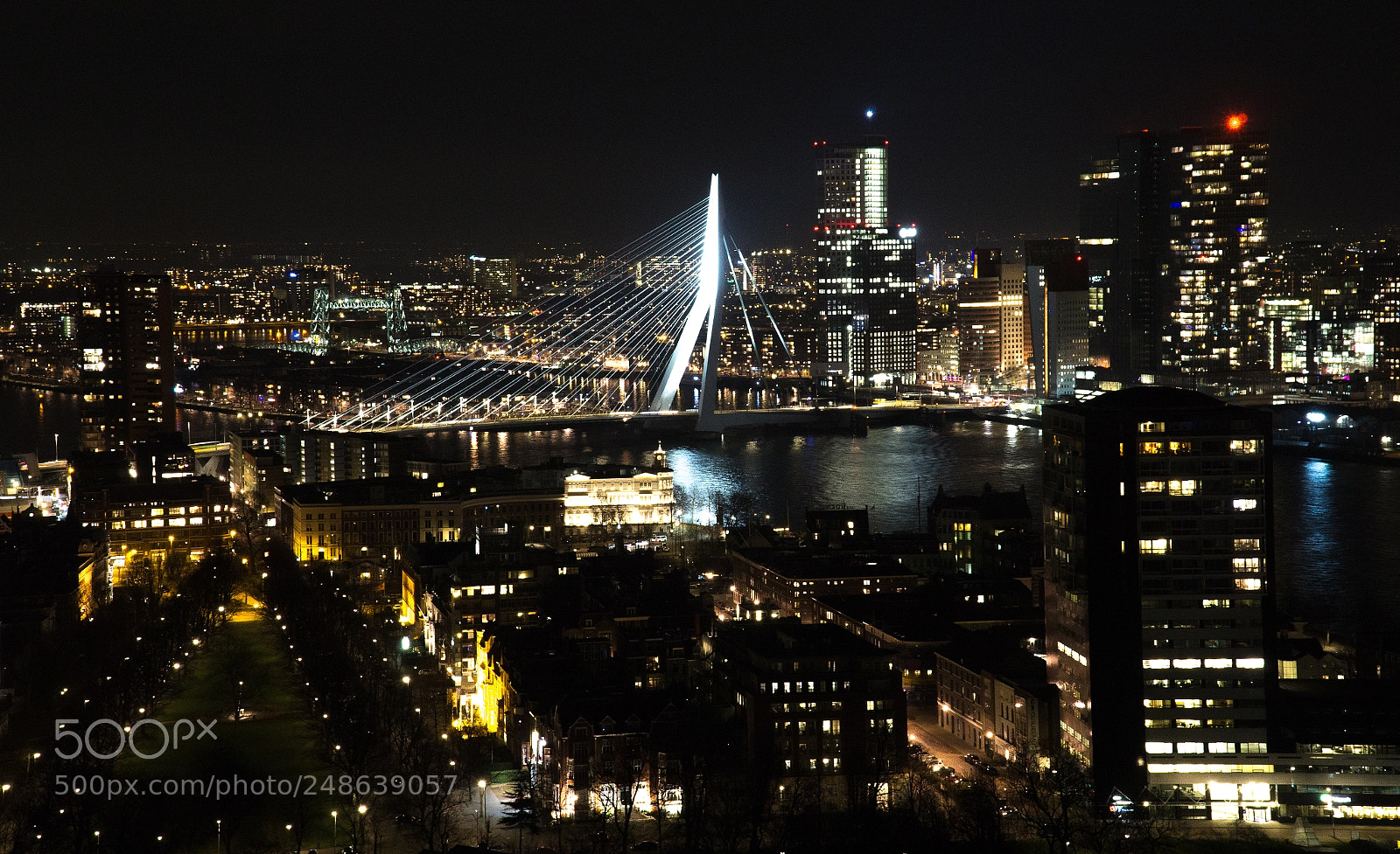 Sony a6000 sample photo. Rotterdam at night photography