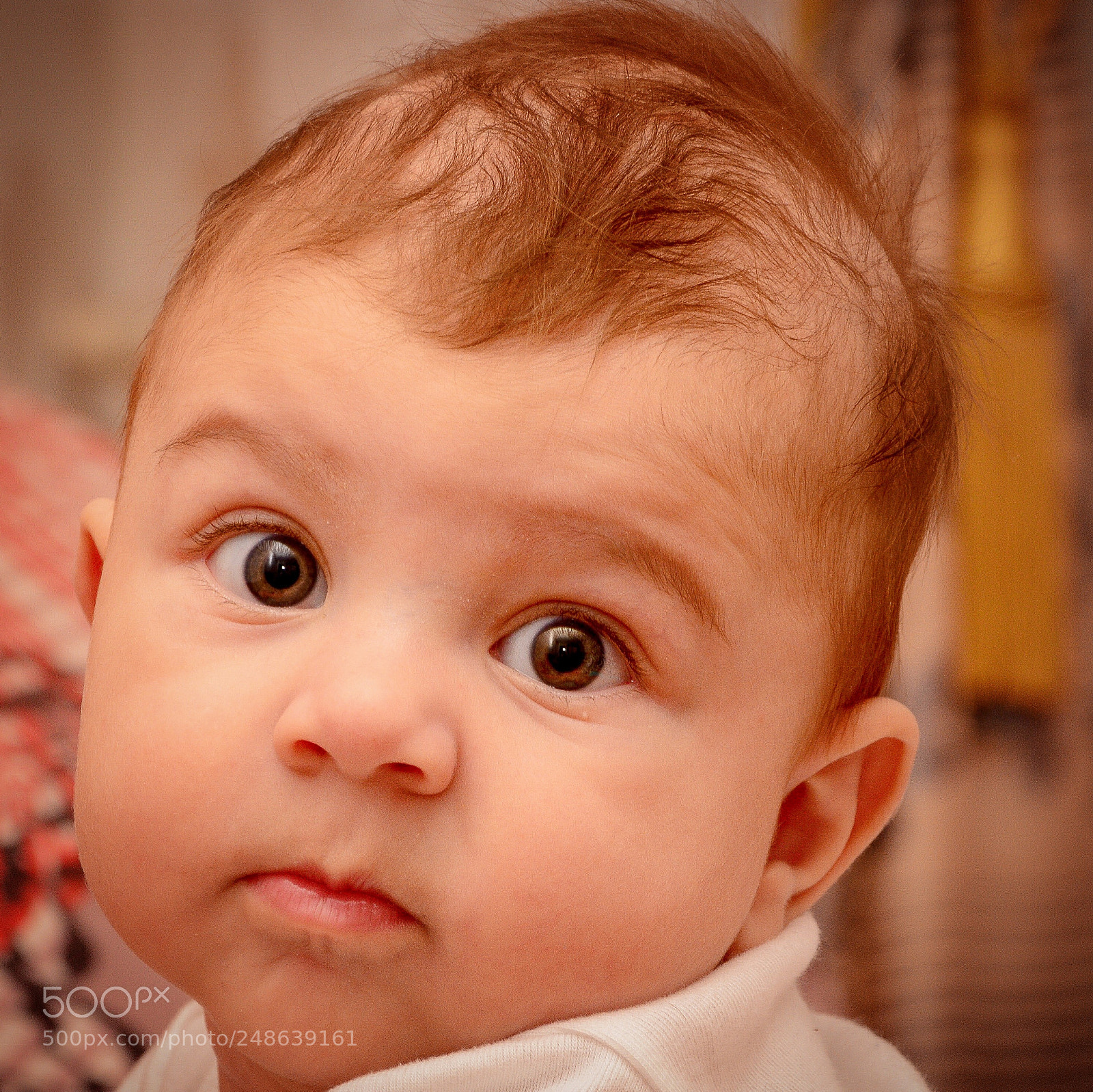 Nikon D5200 sample photo. Untitled photography