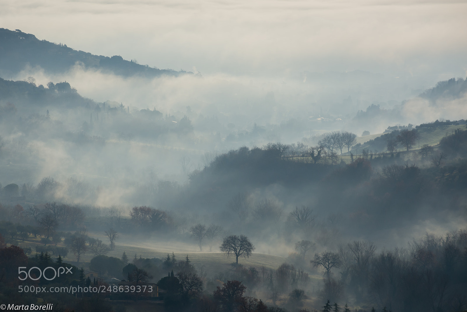 Nikon D7100 sample photo. Nebbia photography