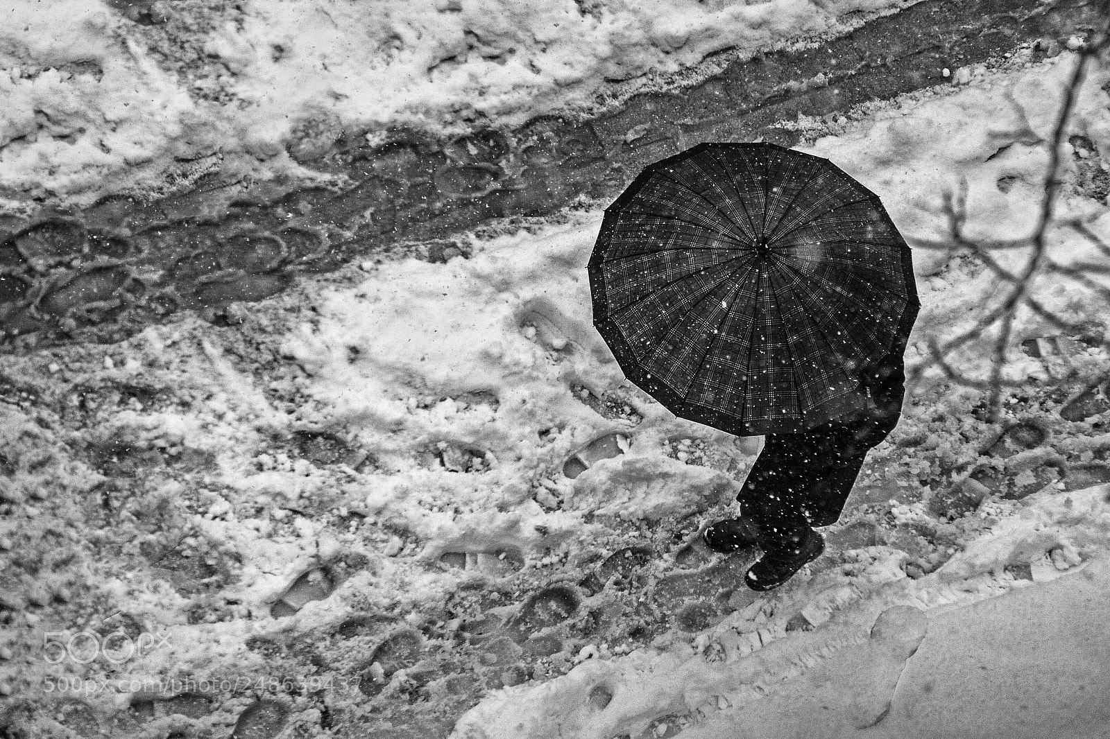 Canon EOS 50D sample photo. Snow photography