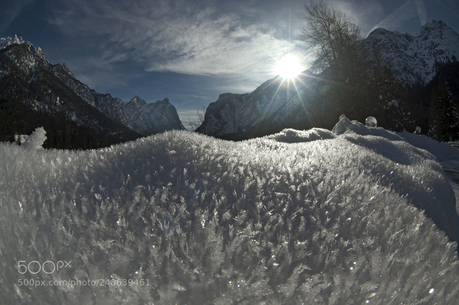Nikon D90 sample photo. Winter photography