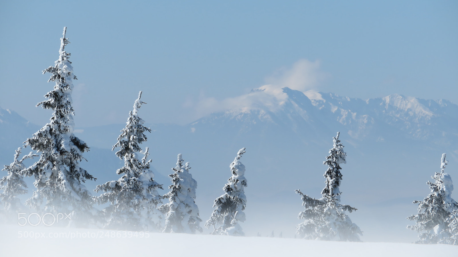 Canon PowerShot SX720 HS sample photo. Snowy dream... photography