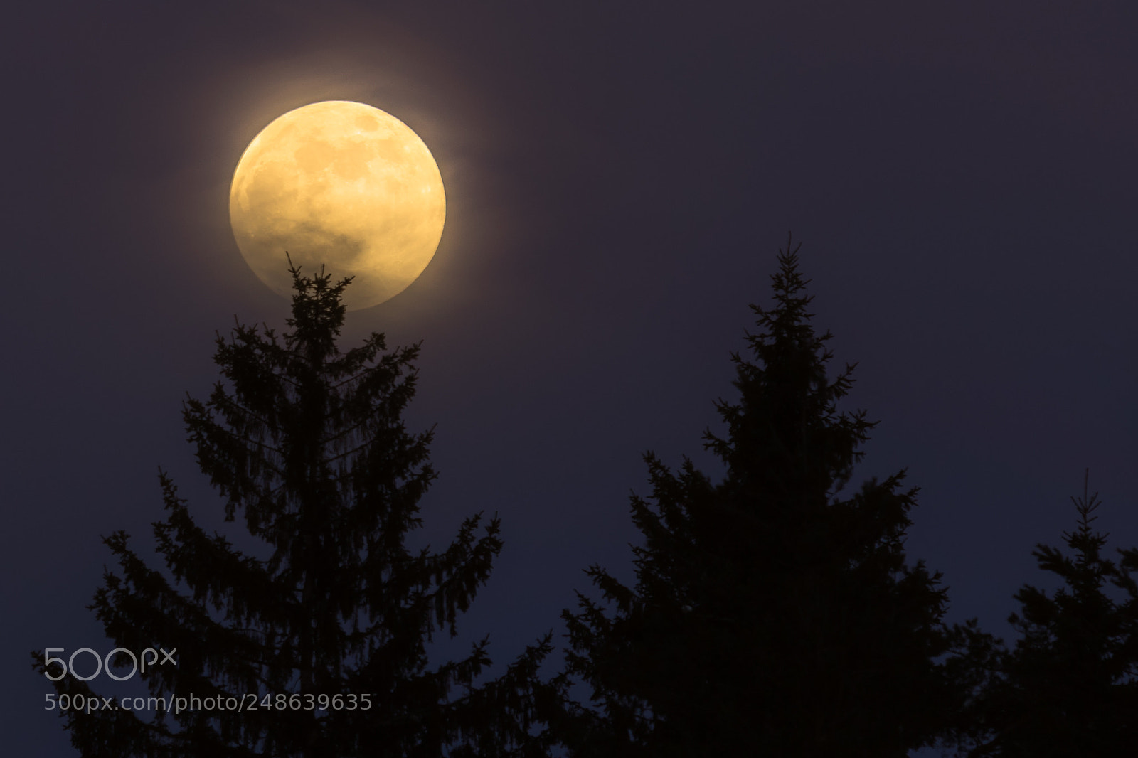 Canon EOS 7D Mark II sample photo. Moon photography