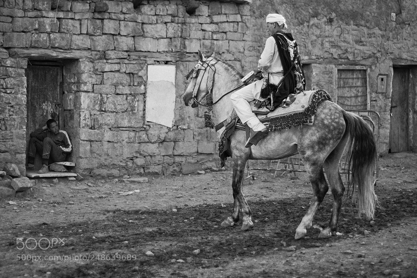 Nikon D700 sample photo. Horse and rider photography