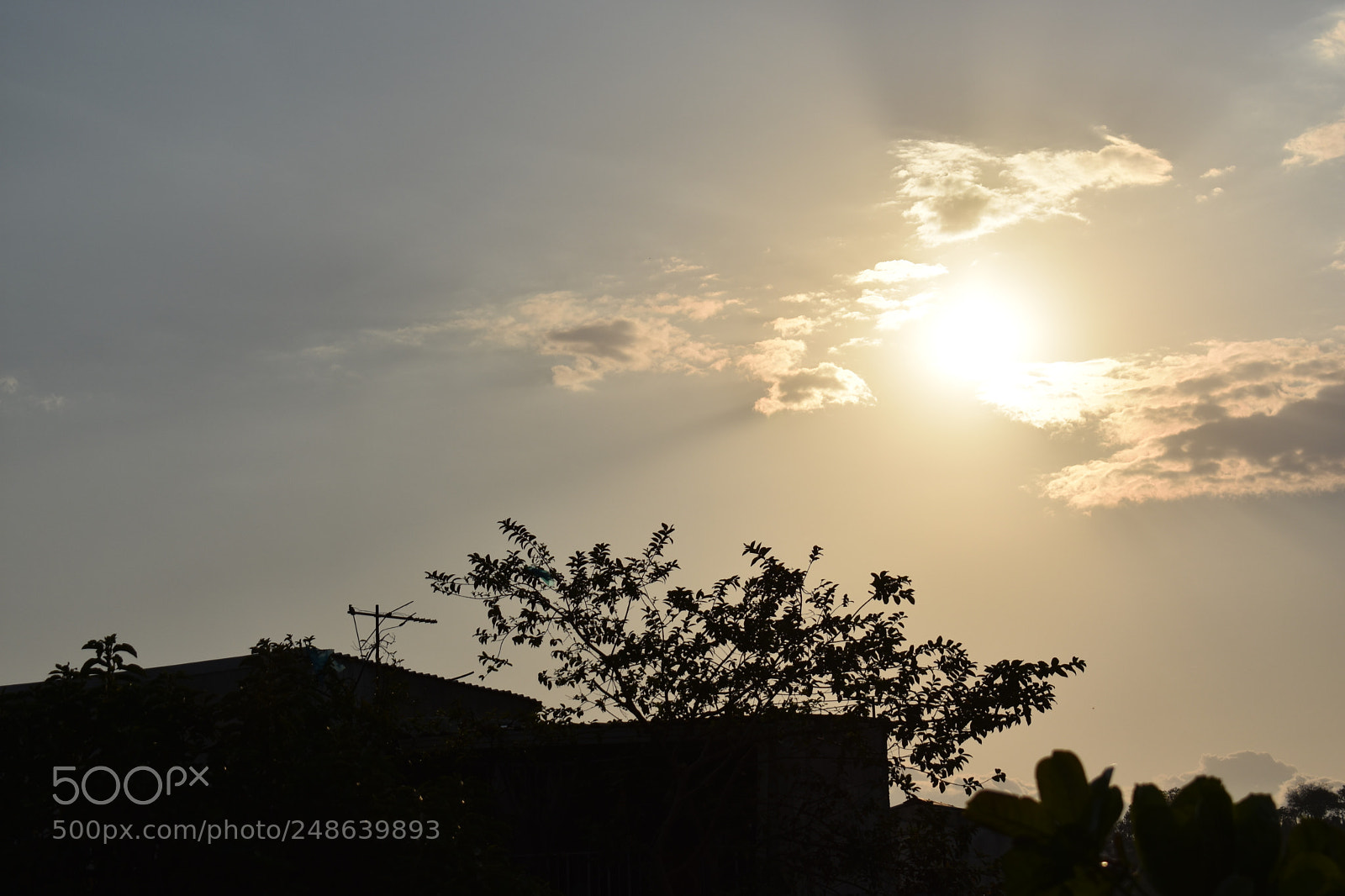 Nikon D3400 sample photo. Y es que la photography