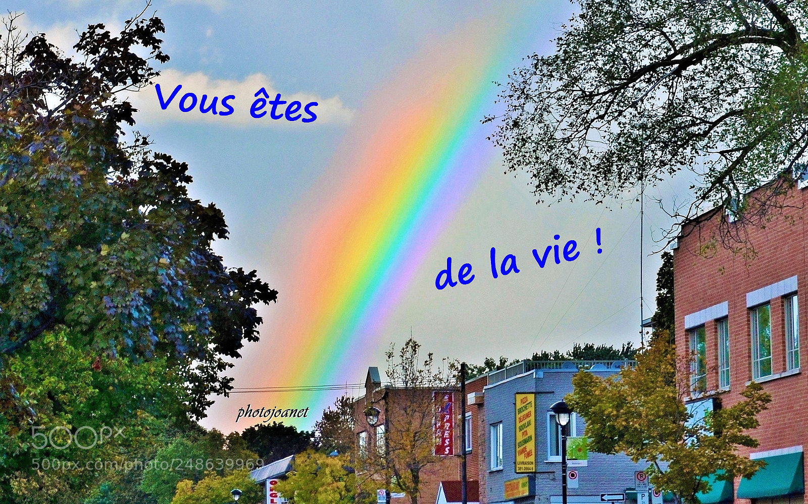 Nikon D5100 sample photo. Bonne journée à toutes ! photography