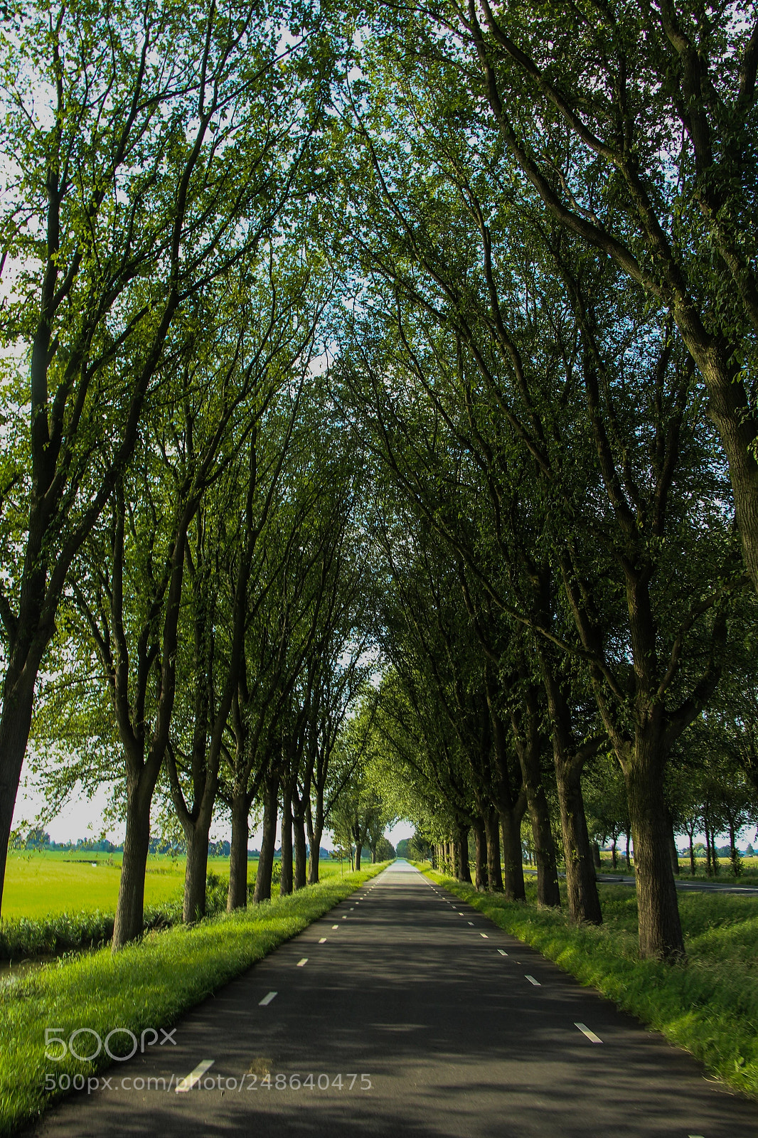 Canon EOS 650D (EOS Rebel T4i / EOS Kiss X6i) sample photo. Road to nowhere photography