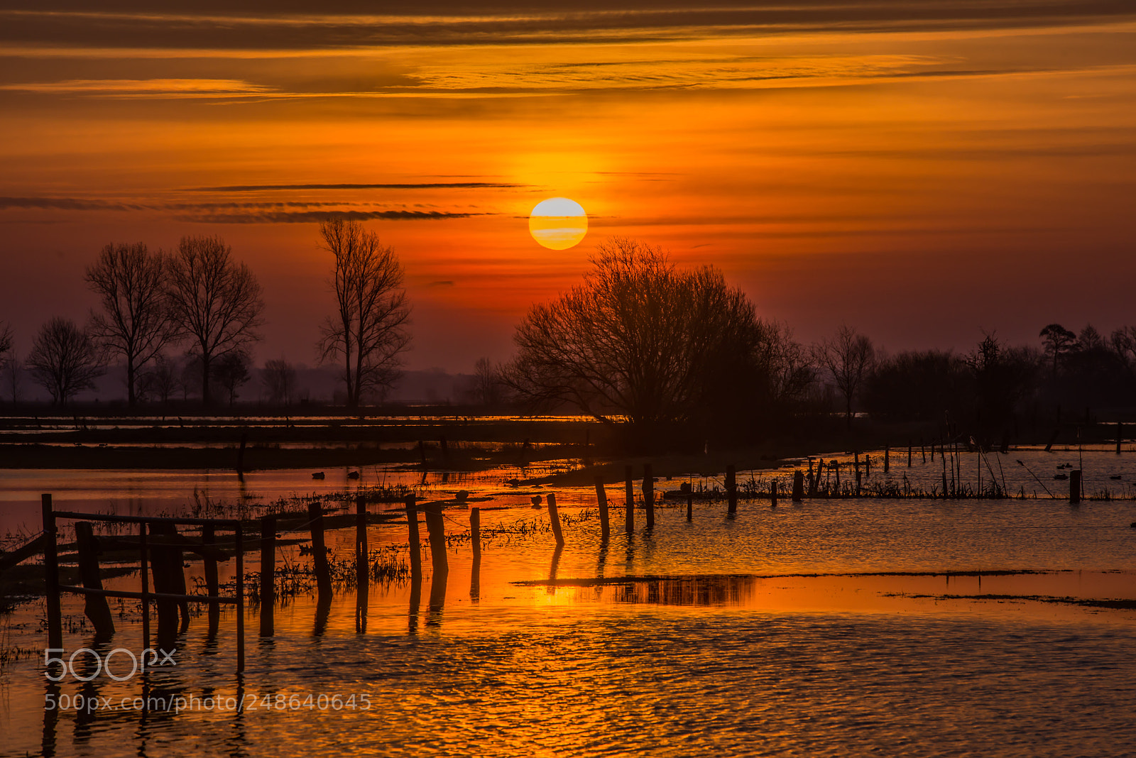 Nikon D800 sample photo. Sunrise in bremen photography