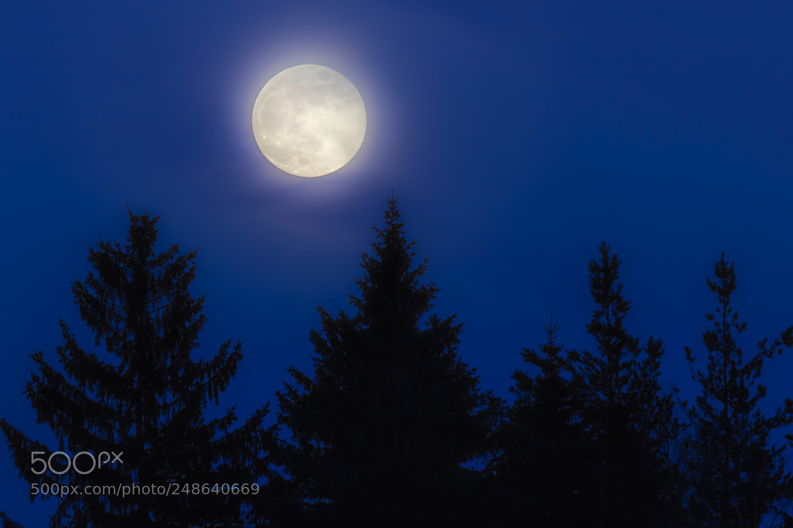 Canon EOS 7D Mark II sample photo. Moon 2 photography