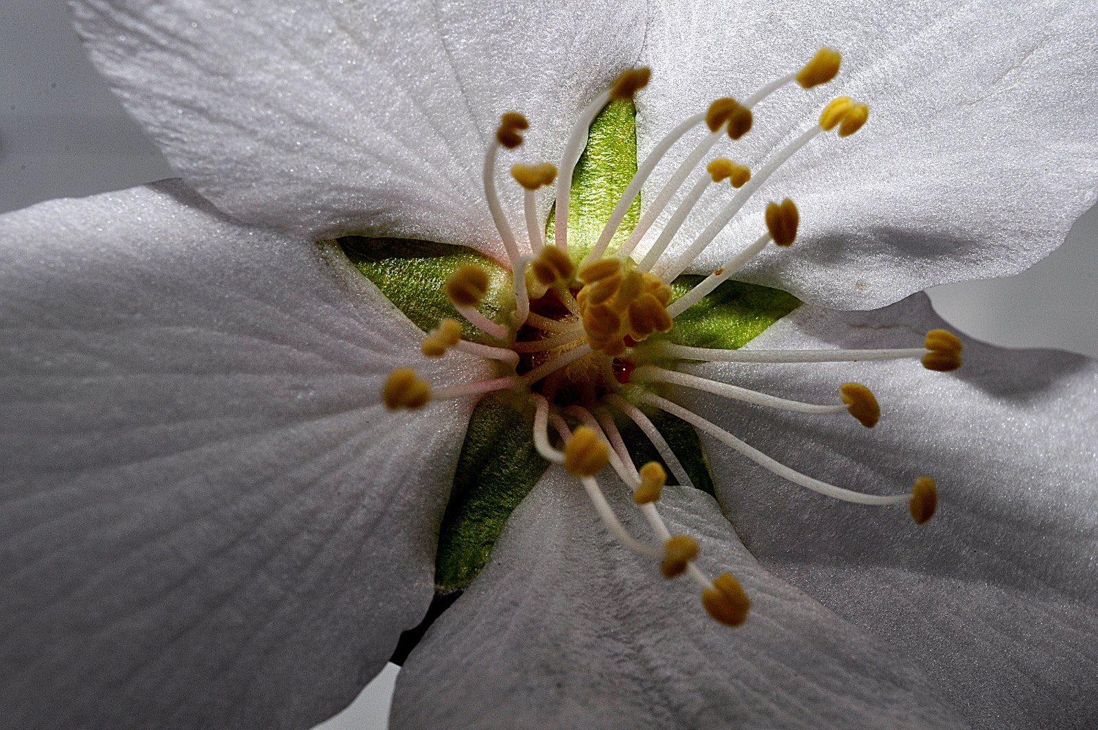 AF Nikkor 28mm f/2.8 sample photo. A photography