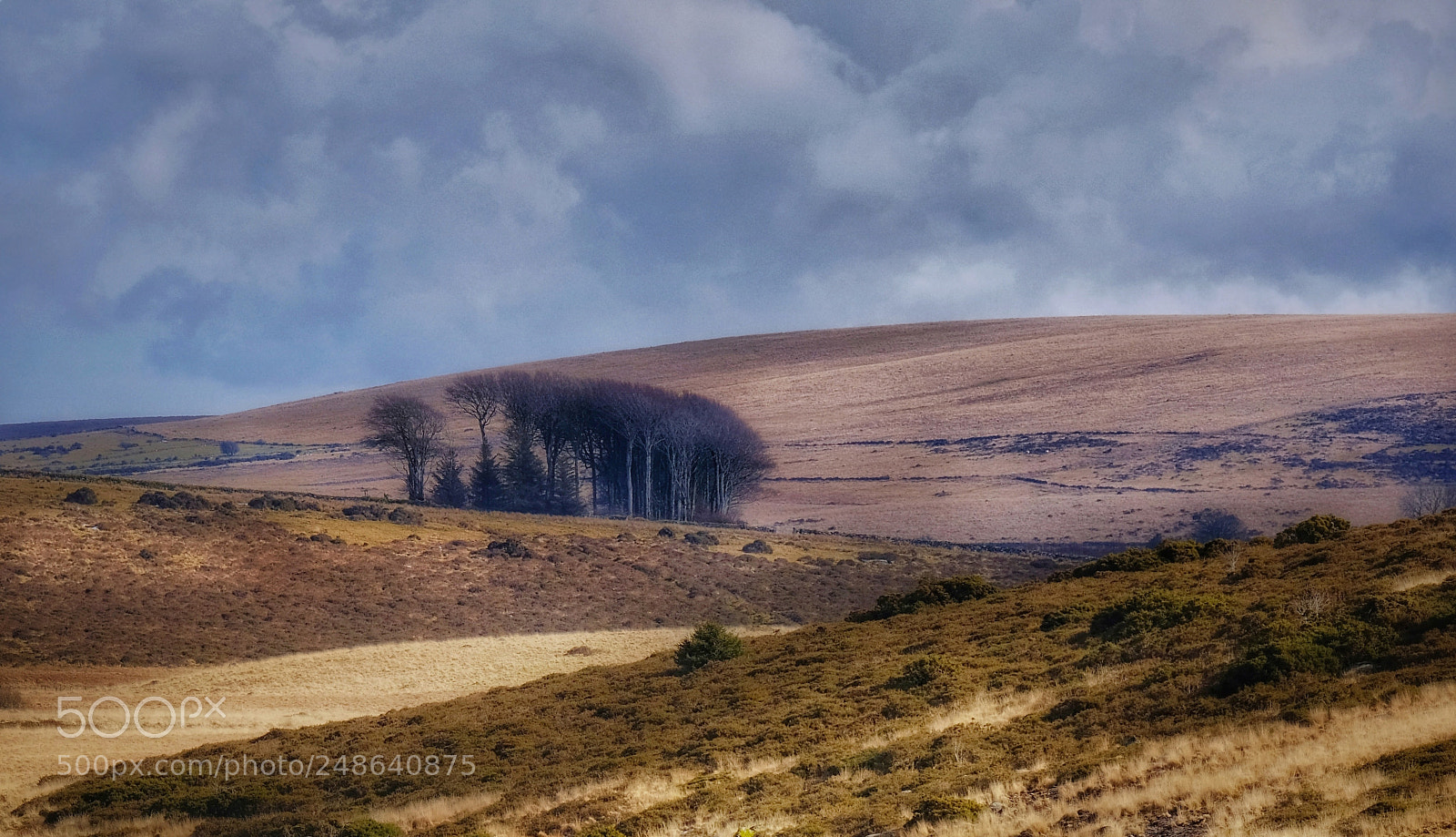Fujifilm X-T2 sample photo. Dartmoor photography